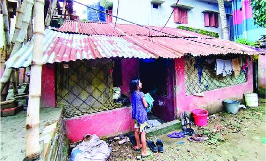 Image of মেহেদী হাসান আলিফ